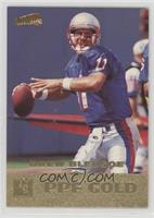 Drew Bledsoe