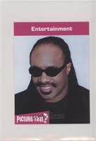 Entertainment - Stevie Wonder