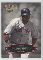 David Ortiz [EX to NM]