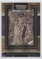 Cale Yarborough #/100