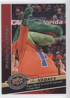 Sports - Florida Gators