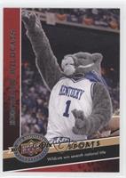 Sports - Kentucky Wildcats