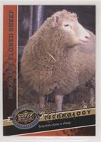 Technology - Dolly the Cloned Sheep 