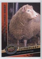 Technology - Dolly the Cloned Sheep 