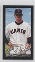 Matt Cain