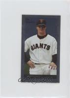 Matt Cain