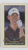 Anthony Kim