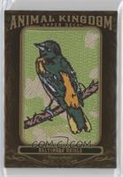 Baltimore Oriole  [EX to NM]