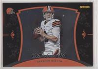 Brandon Weeden [EX to NM] #/599