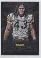 Troy Polamalu