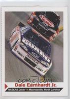 Dale Earnhardt Jr. [EX to NM]