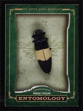 2012 Upper Deck Goodwin Champions - Entomology Encased Insects #ENT-4 - Midnight Treasure