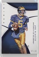 Joe Flacco #/10