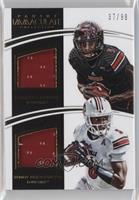 DeVante Parker, Teddy Bridgewater #/99