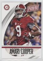 Rookie - Amari Cooper