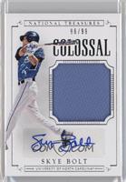 Baseball Materials Signatures - Skye Bolt #/99