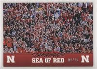 Sea of Red #/25