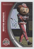 Brutus Buckeye