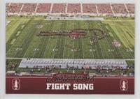 Fight Song