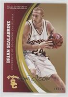 Brian Scalabrine #/25