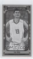 Black and White Portraits - Yao Ming