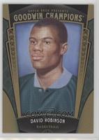 David Robinson