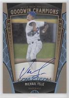 Baseball Prospects Autographs - Michael Feliz