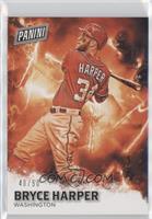 Bryce Harper #/50