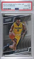 Jaylen Brown [PSA 10 GEM MT]