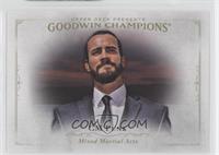 CM Punk