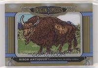 Tier 1 - Bison Antiquus
