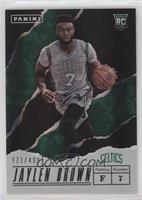 Jaylen Brown #/499