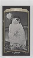 Black & White - Penguin