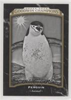 Black & White - Penguin