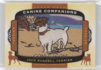 Tier 1 - Terrier - Jack Russell Terrier