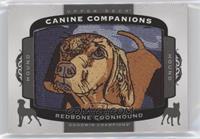 Tier 2 - Hound - Redbone Coonhound