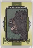 Tier 3 - Herding - Black Russian Terrier