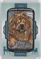 Tier 4 - Non-Sporting - Chow Chow