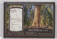 Sequoia - General Sherman Tree #/90