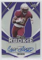 Cam Akers #/20