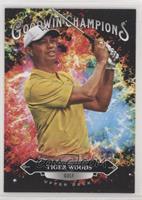 Splash of Color - Tiger Woods