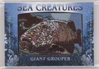 Tier 1 - Giant Grouper