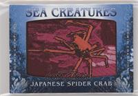 Tier 1 - Japanese Spider Crab