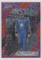 Dale Earnhardt Jr. #/50