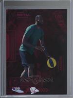 LeBron James #/150