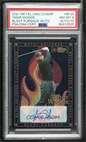 Tiger Woods [PSA 8 NM‑MT]