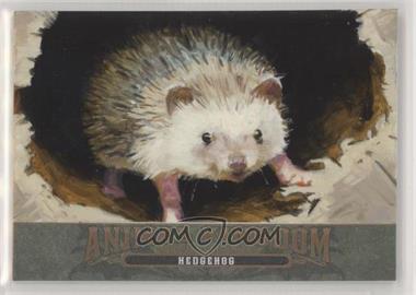 2021 Upper Deck Goodwin Champions - Animal Kingdom Masterpieces #GMAK-HE - Hedgehog /10