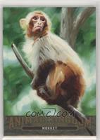 Monkey #/10