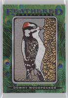 Tier 1 - Downy Woodpecker