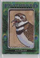 Tier 1 - Killdeer